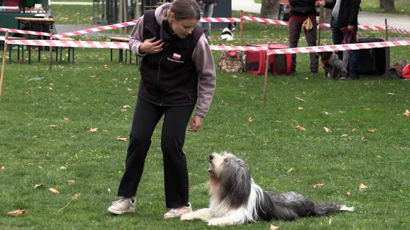 CZTERY ŁAPY ZE SKAŁOWA ODC. 16