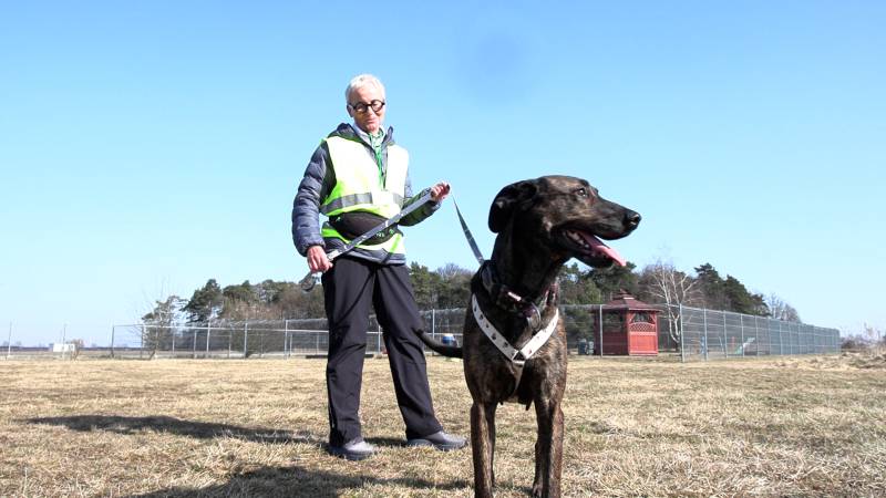 Cztery łapy ze Skałowa odc. 24